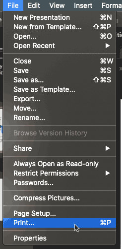 Print option in File menu Print option in File menu