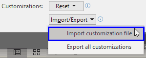 Import customization file option