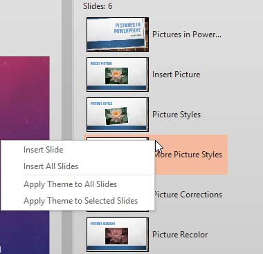 Insert slide(s) options Insert slide(s) options