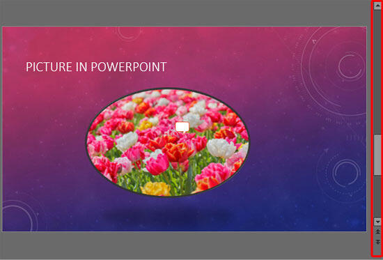 The Vertical Scroll Bar