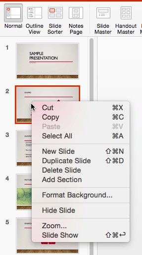 Right-click (or Ctrl+click) contextual menu for the slide within Slides Pane