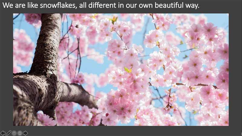 Slide Show view Slide Show view