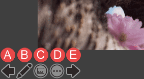 Navigation icons within Slide Show view Navigation icons within Slide Show view