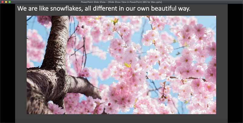 Slide Show within a window Slide Show within a window