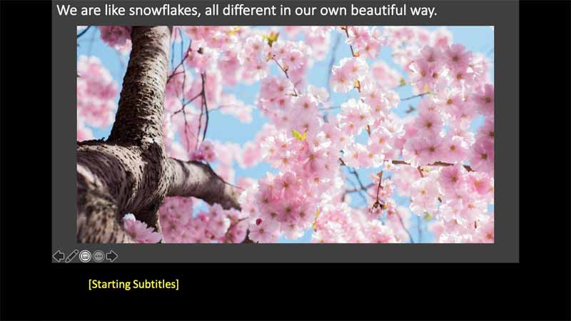 Subtitles show up automatically Subtitles show up automatically