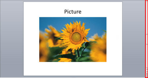 Scroll Bar Scroll Bar