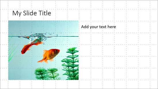 Rectangle shape with different width and height on slide 2 Rectangle shape with different width and height on slide 2