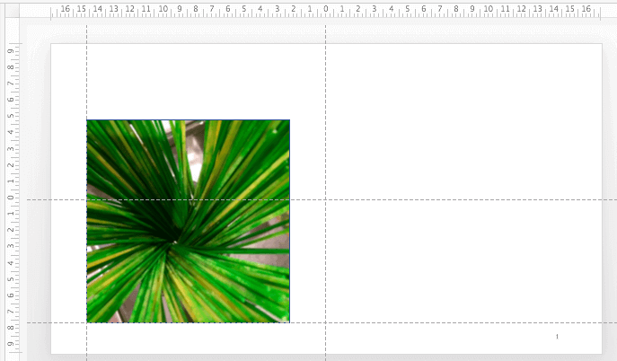 Picture on the slide