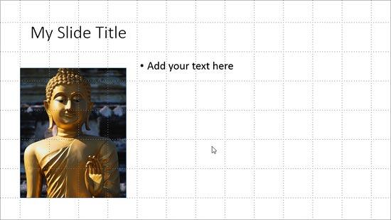 Rectangle with a picture fill on slide 1