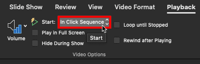 Start button within the Playback tab Start button within the Playback tab