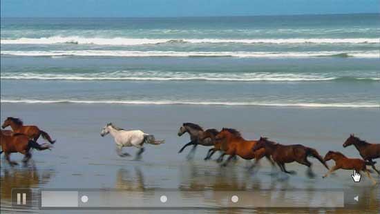 Bookmarks displayed within Slide Show view Bookmarks displayed within Slide Show view