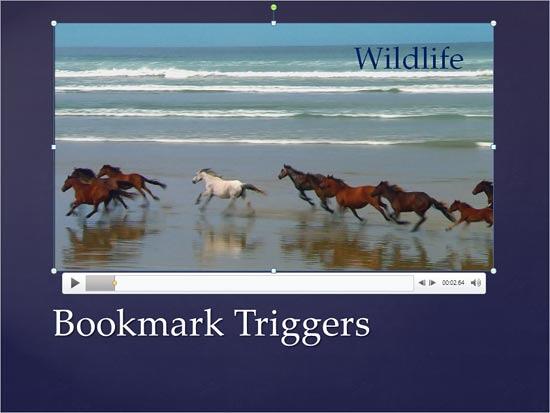 A slide with a video clip and a Text Box