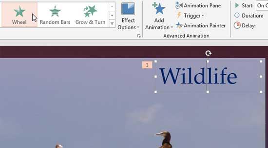 Text box selected and animated Text box selected and animated