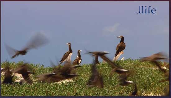 Text Box animating at bookmark point Text Box animating at bookmark point