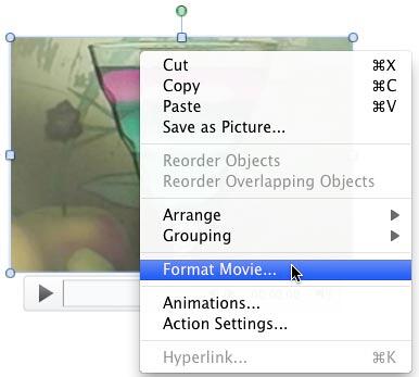 Format Movie option to be selected Format Movie option to be selected