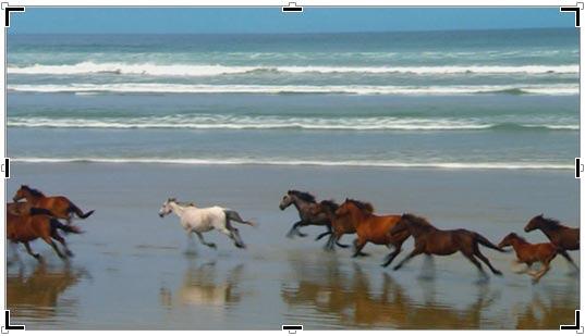 Result of selecting the Crop option on a video clip Result of selecting the Crop option on a video clip