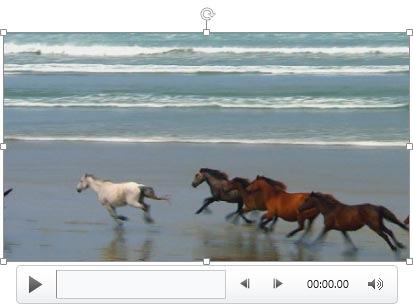 Video clip cropped Video clip cropped