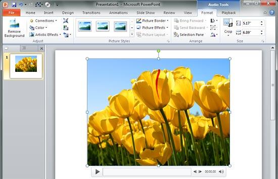 Changed picture for audio clip