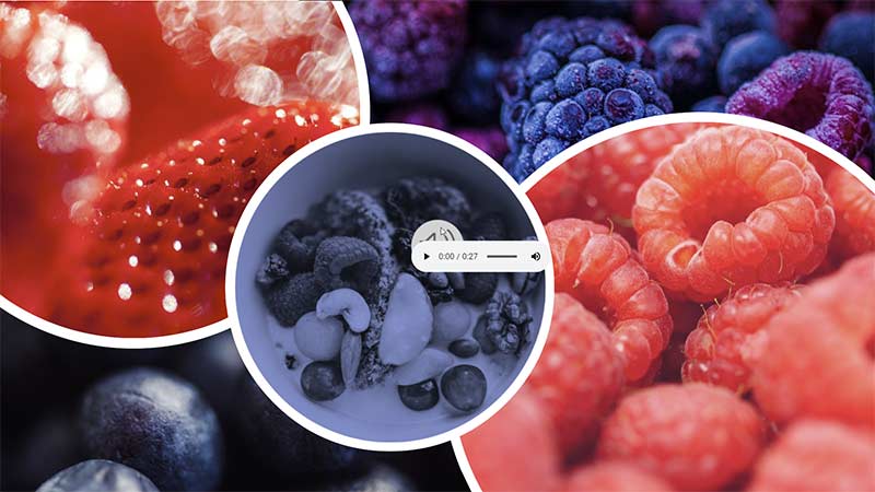 Player Controls bar in Slide Show view 