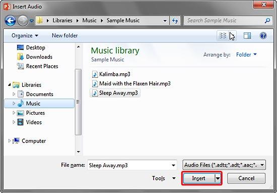 Insert Audio dialog box Insert Audio dialog box