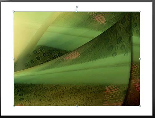 Movie placed on slide