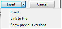 Link to File option Link to File option