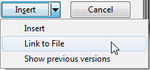 Link to File option Link to File option