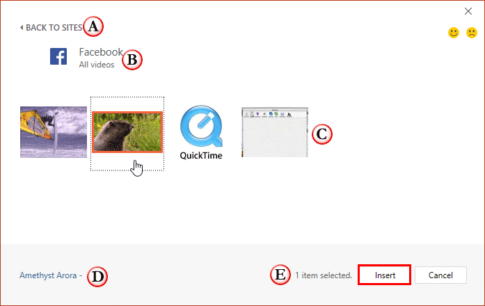 Window showing videos within the Facebook account