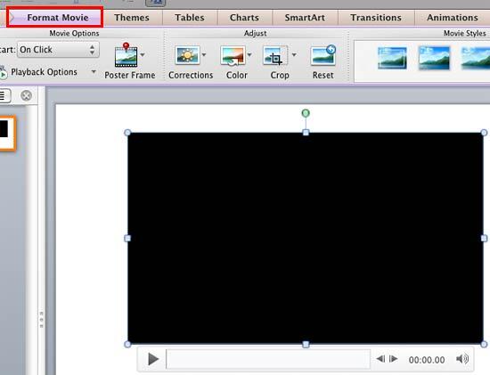 Format Movie tab of the Ribbon Format Movie tab of the Ribbon