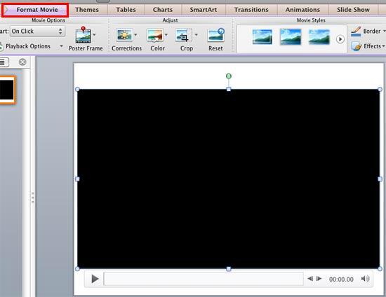 Format Movie tab of the Ribbon Format Movie tab of the Ribbon