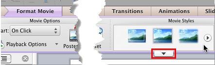 More button within the Movie Styles group More button within the Movie Styles group