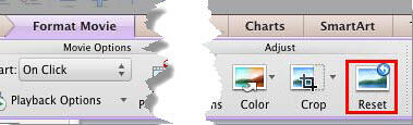 Click the Reset button to remove applied Movie Style from the movie Click the Reset button to remove applied Movie Style from the movie