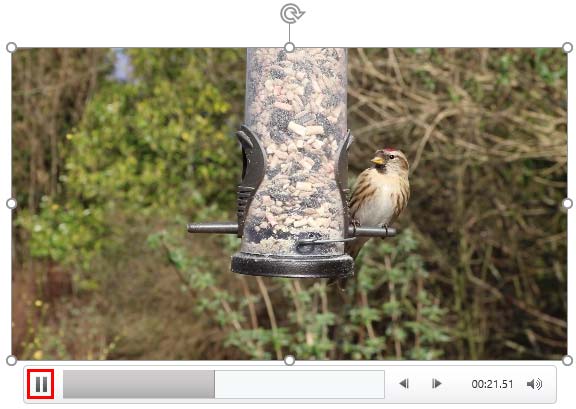 Pause button within the Player Control bar Pause button within the Player Control bar