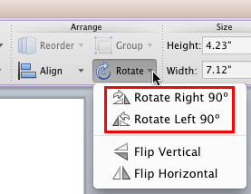 Rotate and Flip options Rotate and Flip options