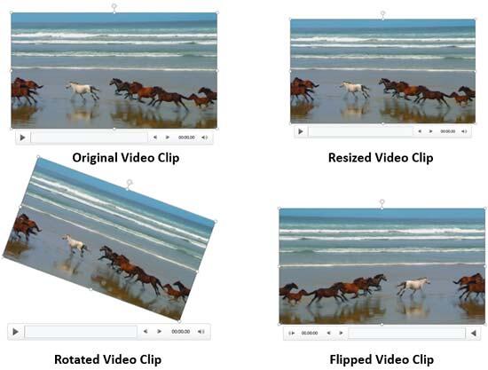 Variants of the same video clip applied with resize, rotate, and flip options