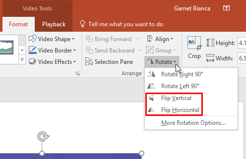 Flip options within the Rotate and Flip drop-down gallery