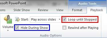 Loop until Stopped and Hide During Show check-boxes selected