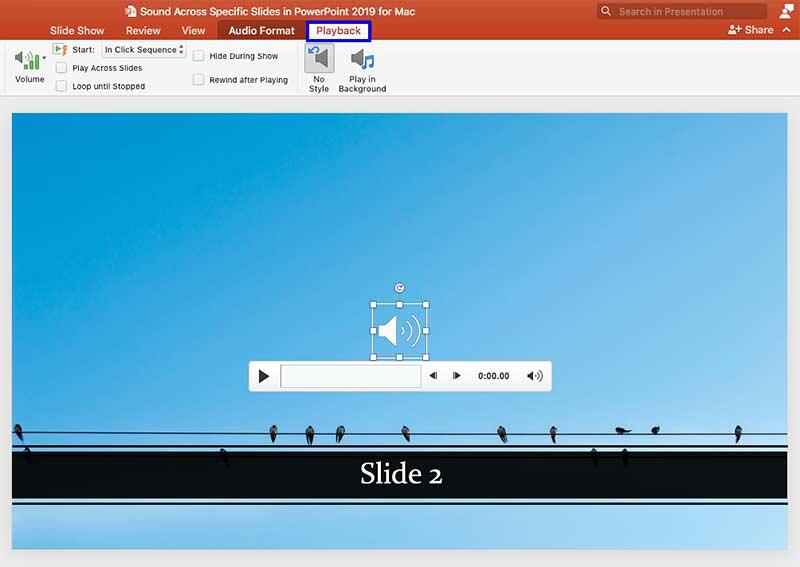 Playback tab selected within the Ribbon