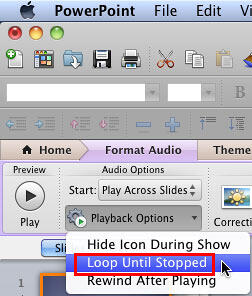 Loop Until Stopped option within the Playback Options drop-down menu Loop Until Stopped option within the Playback Options drop-down menu