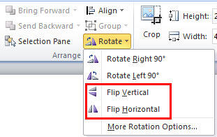 Flip options within the Rotate and Flip drop-down gallery