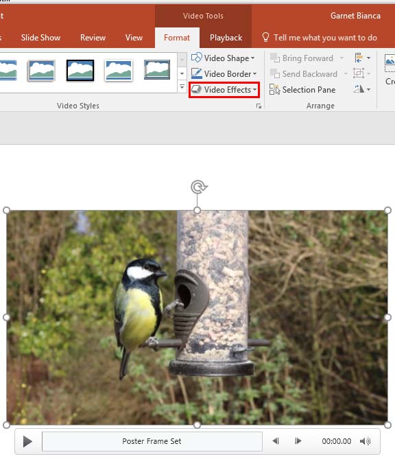 Video Effects button within the Video Styles group Video Effects button within the Video Styles group