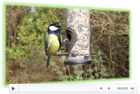 Multiple Effects applied to one video clip Multiple Effects applied to one video clip