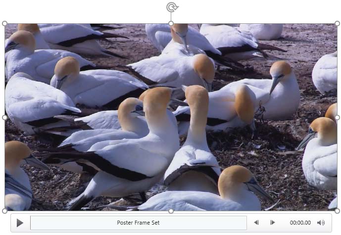 Video clip with a poster frame added Video clip with a poster frame added