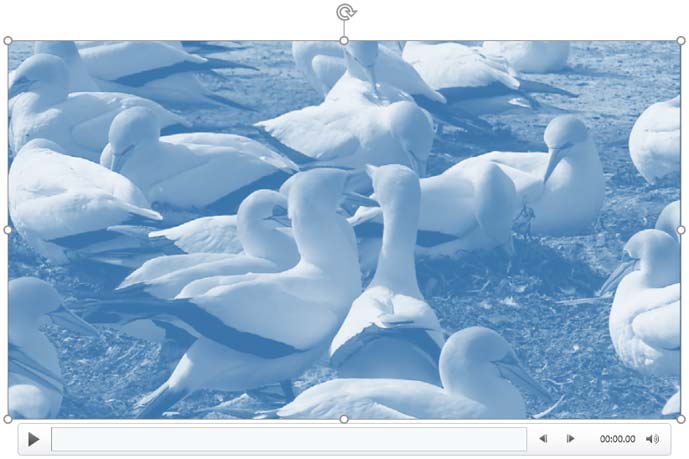 Selected video recolored Selected video recolored