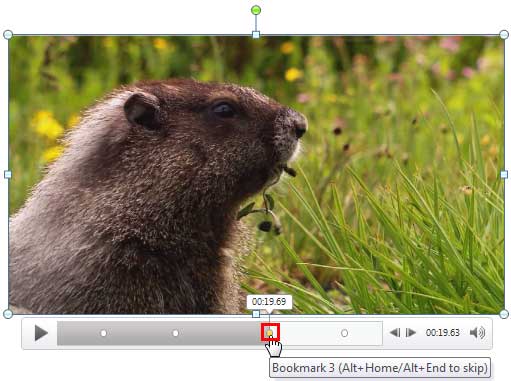 Selected bookmark within the Player Controls bar