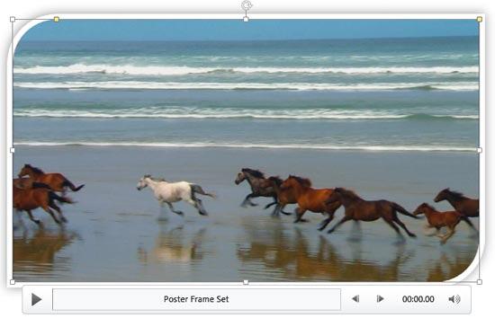 Video Style applied to the video