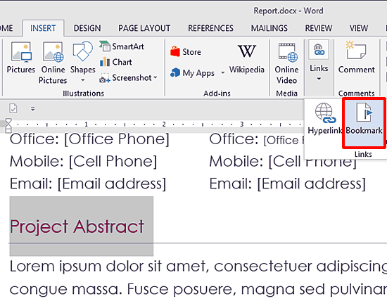 Area selected in Word document