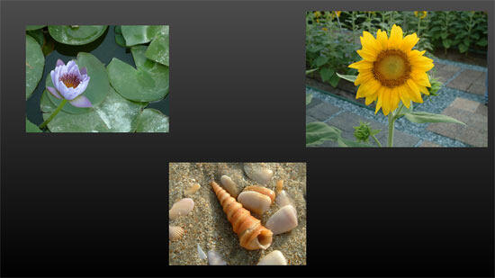 Unaligned and undistributed pictures on the slide Unaligned and undistributed pictures on the slide