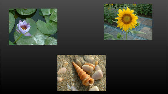 Unaligned and undistributed pictures resized to attain same height Unaligned and undistributed pictures resized to attain same height