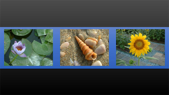 Pictures aligned to the middle of the slide, and thereafter horizontally distributed Pictures aligned to the middle of the slide, and thereafter horizontally distributed